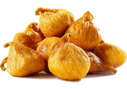 fig