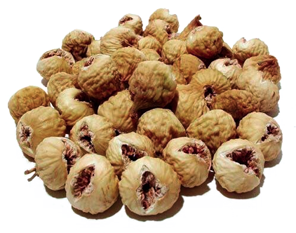 Fig aa