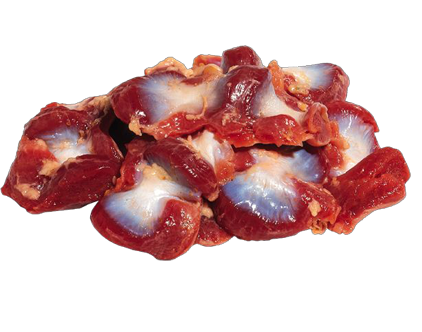 Chicken-Gizzard