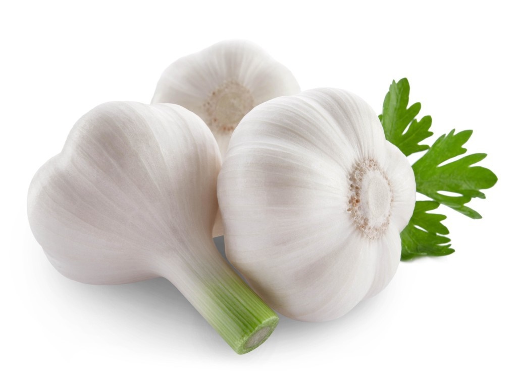 Garlic – 2