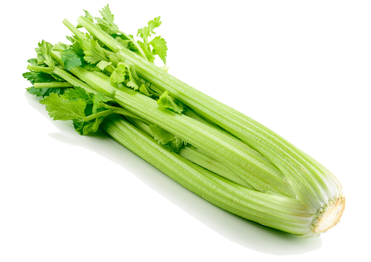 celery.erfanco