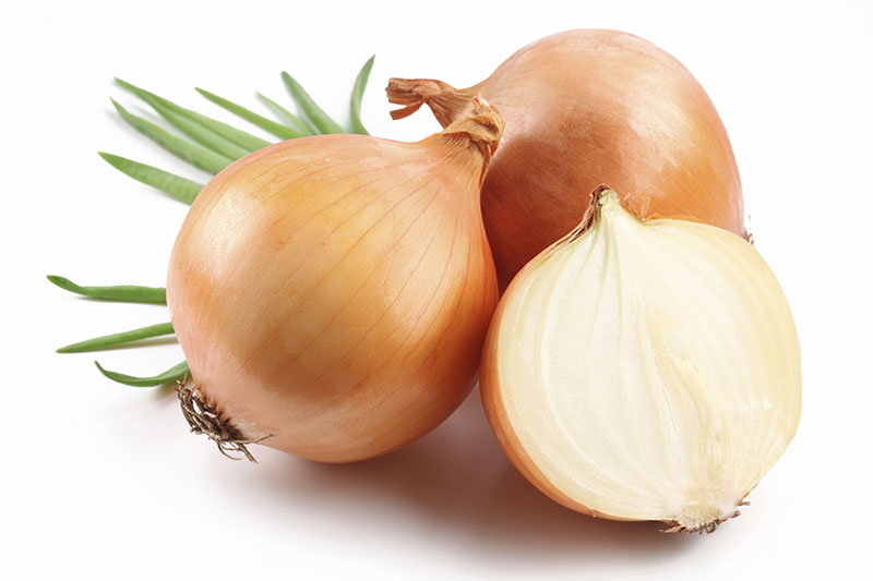 commodity-yellow-onion