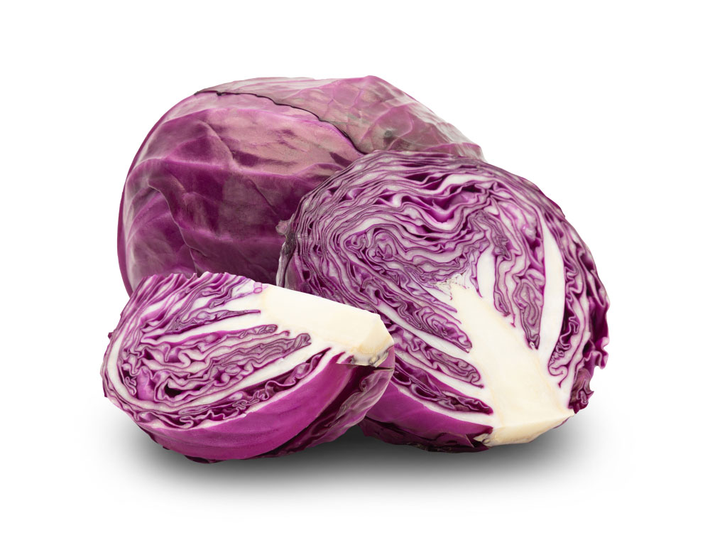 purple-cabbage88888