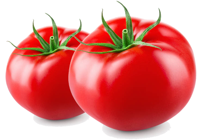 Dafnice Tomato 2