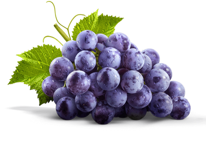 Black Grapes