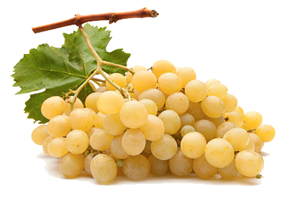 Gold Grapes